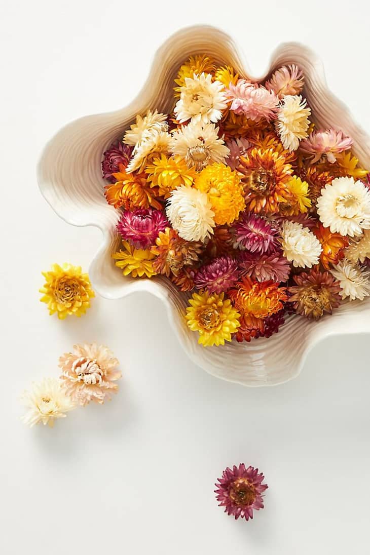 The Best Dried Flowers for Your Home Decor Dried Flower Arrangements
